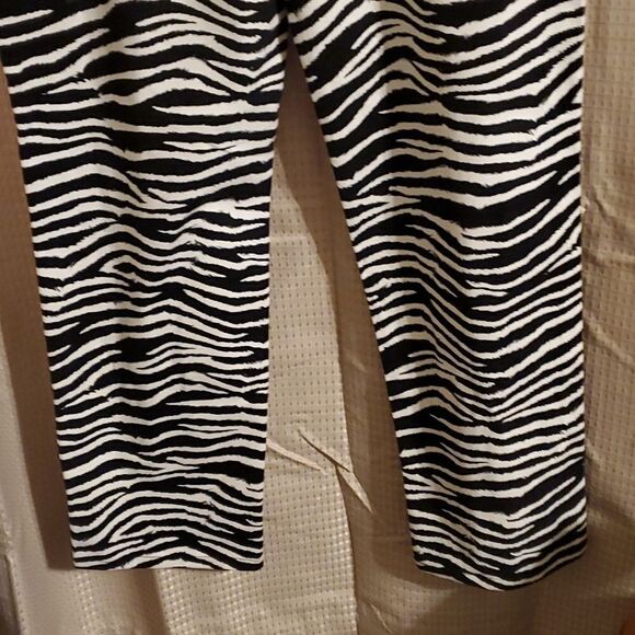 Telluride clothing Co pant size 10 - Picture 6 of 6